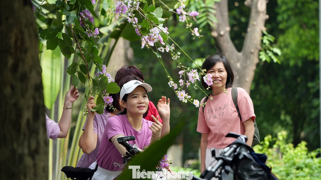 Từ 7h sáng, rất nhiều người đã tranh thủ ghé qua chụp ảnh do phố phường còn vắng vẻ.