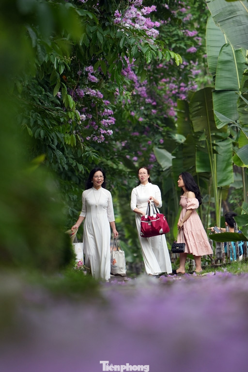 Tại đây có vỉa hè cao thoáng cùng hàng cây hoa bằng lăng tán rộng và thấp nên được nhiều người lựa chọn là địa điểm chụp hình lưu lại khoảnh khắc của loài hoa tím đầu mùa hạ.