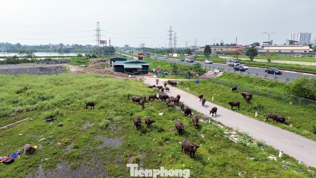 Việc triển khai thi công theo tiến độ đề ra là 760 ngày, tuy nhiên đến thời điểm hiện tại khối lượng công việc vẫn chưa đáng kể, nguy cơ chậm tiến độ của dự án là rất cao.
