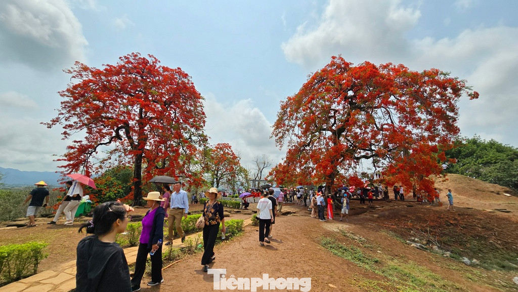 Du khách tới di tích đồi A1 rực rỡ sắc đỏ trong những ngày lịch sử trước lễ kỷ niệm 70 năm chiến thắng Điện Biên Phủ.