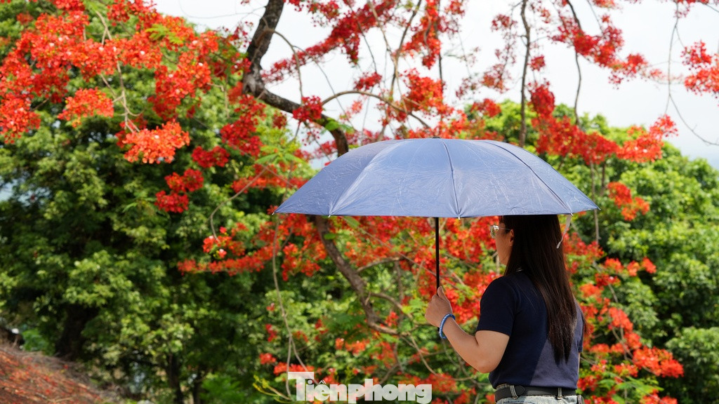 Những ngày này, di tích lịch sử Đồi A1 đón hàng vạn du khách tới tham quan, du khách được nghe các hướng dẫn viên kể lại những ngày tháng hào hùng của dân tộc ta với chiến thắng "Lừng lẫy năm châu, chấn động địa cầu". Cùng những sắc hoa đỏ nở bung rực rỡ trên đỉnh Đồi A1 trong những ngày tháng 5 lịch sử.