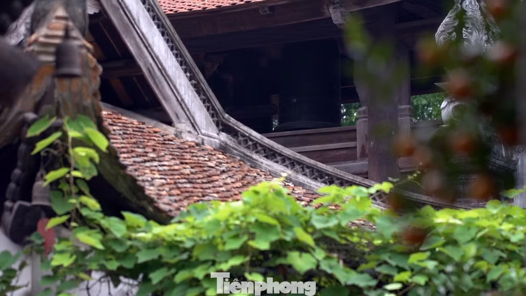 Chùa Vĩnh Nghiêm có vị trí đặc biệt của nền Phật Giáo Việt Nam. Nơi đây được coi là nơi phát tích Tam Tổ của thiền phái Trúc Lâm.