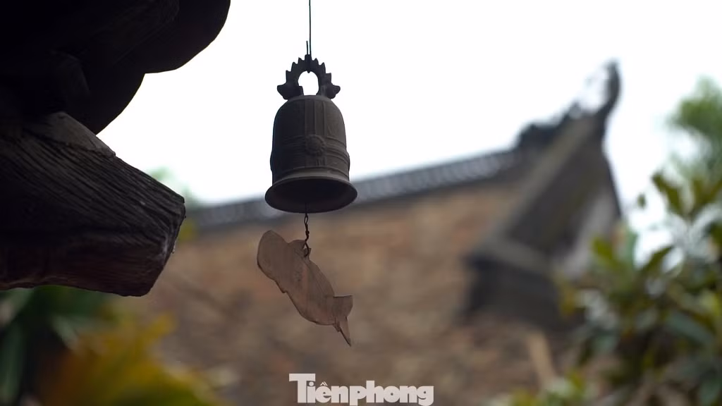 Chùa hiện lưu giữ được rất nhiều hiện vật quý hiếm. Nơi đây mang đậm những nét đặc trưng của một ngôi chùa cổ Việt Nam.