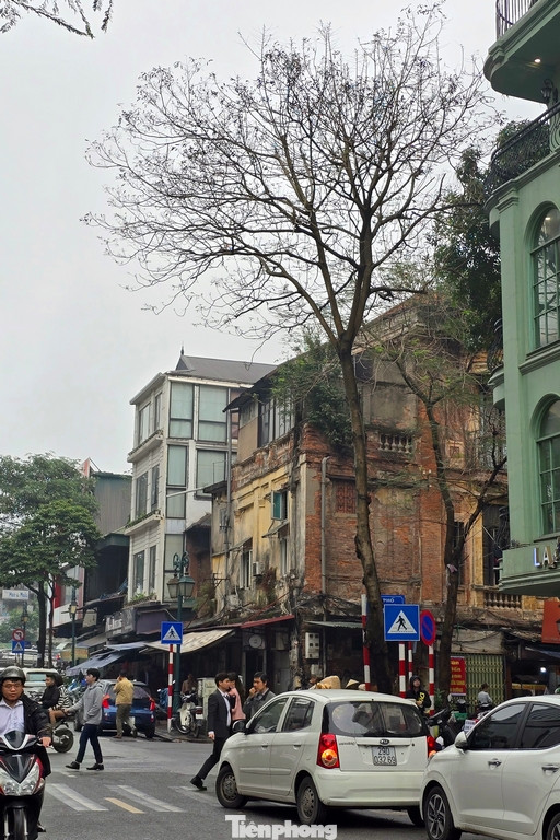 Khu vực dự án phía đường Trần Nguyên Hãn, nơi có rất nhiều công trình và nhà cổ.