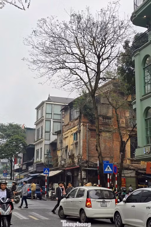 Khu vực dự án phía đường Trần Nguyên Hãn, nơi có rất nhiều công trình và nhà cổ.