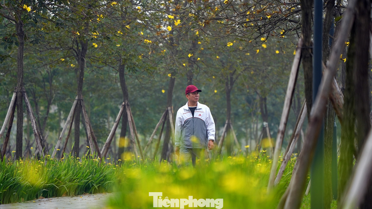 Hiện tại cung đường này được coi là lý tưởng để tản bộ ngắm cảnh hoa nở hay dừng chân chụp hình "sống ảo".