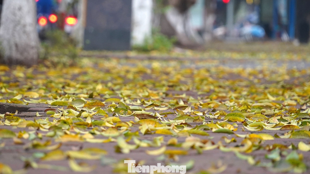 Nhiều người tranh thủ ghi lại khung cảnh đầy chất thơ để làm kỷ niệm.