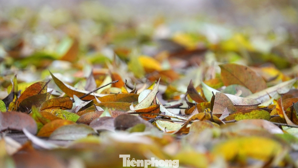 Hình ảnh tuyến phố Phan Đình Phùng vô cùng lãng mạn và bình yên buổi sớm mai