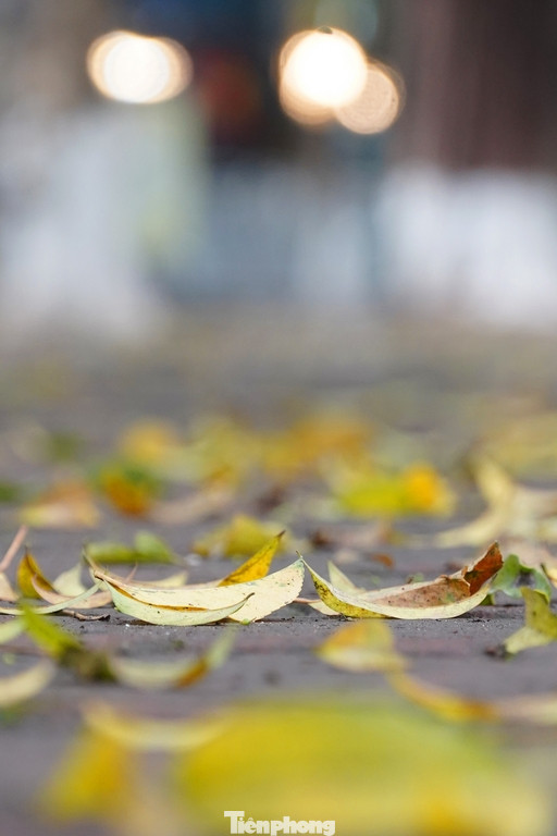 Kết hợp với sự lãng mạn vốn có ở con phố này, hình ảnh lá sấu rơi rụng đã tạo nên khung cảnh thơ mộng trong tiết trời giao mùa những ngày tháng 4 này.