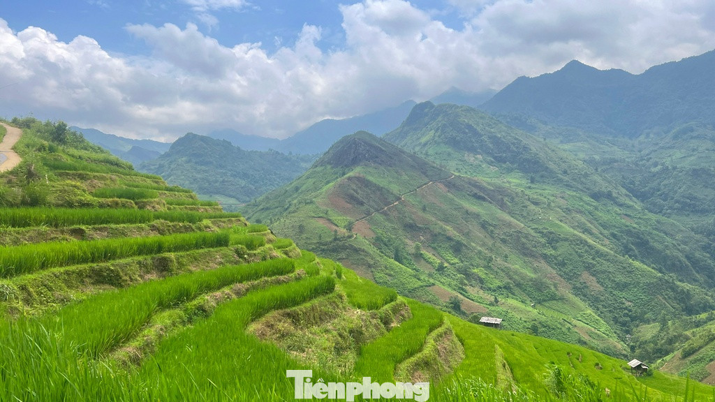 Hoặc cũng có thể đi săn ảnh phong cảnh với những ruộng lúa bậc thang uốn lượn xanh mướt. Hoặc cũng có thể đi săn ảnh phong cảnh với những ruộng lúa bậc thang uốn lượn xanh mướt.