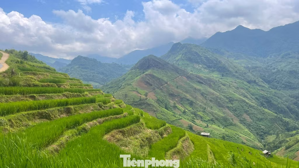 Hoặc cũng có thể đi săn ảnh phong cảnh với những ruộng lúa bậc thang uốn lượn xanh mướt. Hoặc cũng có thể đi săn ảnh phong cảnh với những ruộng lúa bậc thang uốn lượn xanh mướt.