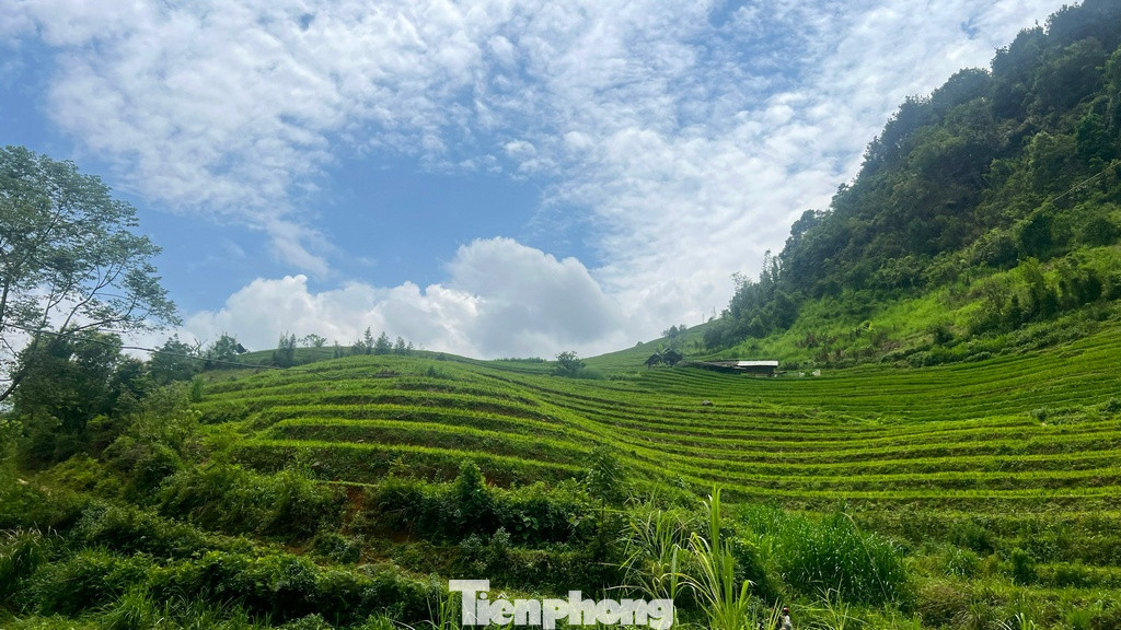 Hoặc cũng có thể đi săn ảnh phong cảnh với những ruộng lúa bậc thang uốn lượn xanh mướt. Hoặc cũng có thể đi săn ảnh phong cảnh với những ruộng lúa bậc thang uốn lượn xanh mướt.