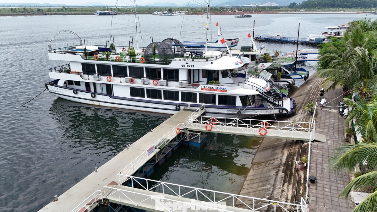 Thông tin từ Ban Chỉ huy Phòng chống thiên tai và tìm kiếm cứu nạn (PCTT&amp;TKCN) TP. Hạ Long, trên địa bàn thành phố hiện có 1.531 tàu, thuyền đang hoạt động trên biển, gồm 411 tàu du lịch, 920 tàu cá và 200 tàu vận tải.