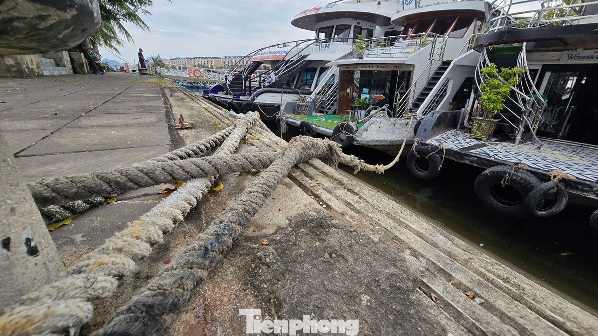 Đến sáng nay tất cả các tàu du lịch đang hoạt động trên khu vực vịnh Hạ Long được lệnh về bờ để tránh bão số 3.