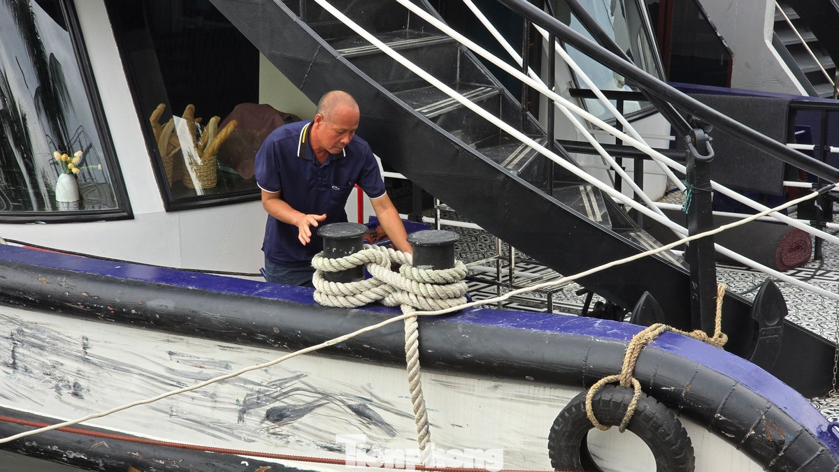 Công an thành phố, Đồn Biên phòng cửa khẩu cảng Hòn Gai và UBND các xã, phường thông báo cho các phương tiện tàu thuyền của địa phương về diễn biến tình hình cơn bão số 3 để các chủ phương tiện nắm bắt và nhanh chóng di dời về nơi tránh trú.