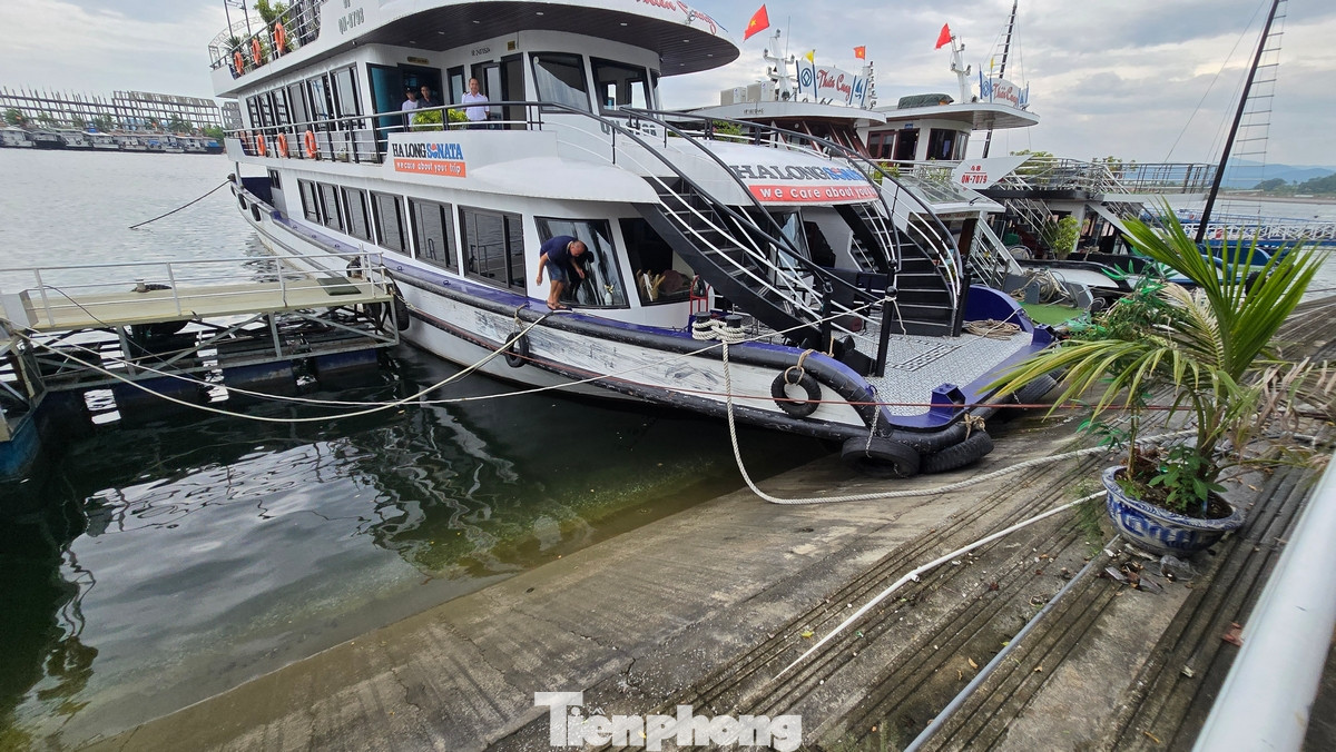 Đối với 65 cơ sở nuôi trồng thủy sản hoạt động trên biển, UBND thành phố đã chỉ đạo Phòng Kinh tế triển khai thực hiện thông báo đến các chủ cơ sở để có phương án di dời người dân trên các phương tiện thủy, các nhà bè nuôi trồng thủy sản trước 16h ngày 6/9 (trước khi bão đổ bộ đất liền).