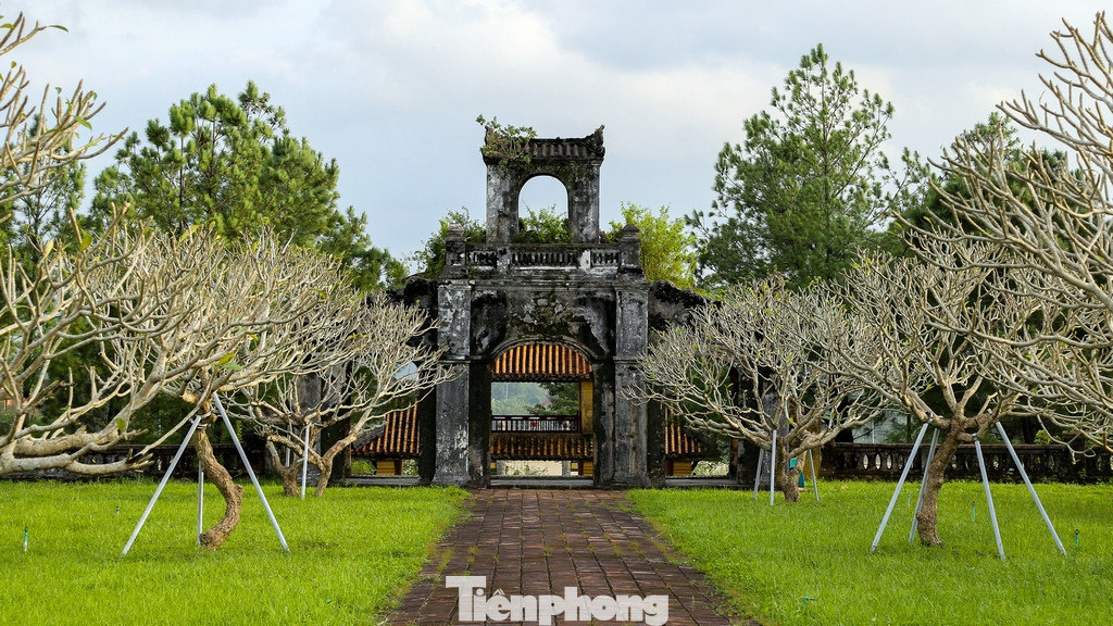 Ngoài việc được xây dựng làm nơi thờ Khổng Tử thì Văn Thánh Miếu Huế còn là nơi thờ Mạnh Tử, Nhan Tử, Tăng Tử, Tư Tử, Thập Nhị Triết và các bậc thánh hiền có công trong việc xây dựng, phát triển đạo Nho.