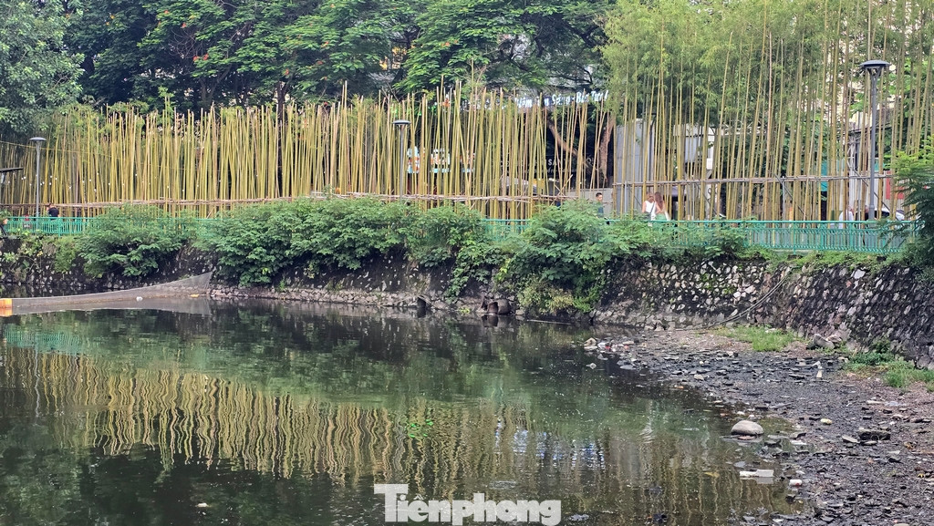 Những hàng trúc được trồng đều nhau, cao khoảng 4m, giữa không gian là lối đi bộ, không gian tập thể dục, ghế đá cùng hệ thống đèn trang trí, tưới nước tự động ngay một góc hồ Trúc Bạch.