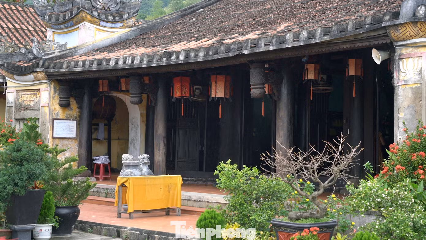 Nằm trên hòn đảo hoang sơ, sở hữu cảnh sắc thiên nhiên hùng vĩ, bình yên, thơ mộng, chùa Hải Tạng hiện đã trở thành địa điểm du lịch trong chương trình khám phá Hội An nổi tiếng, được nhiều du khách ghé thăm.