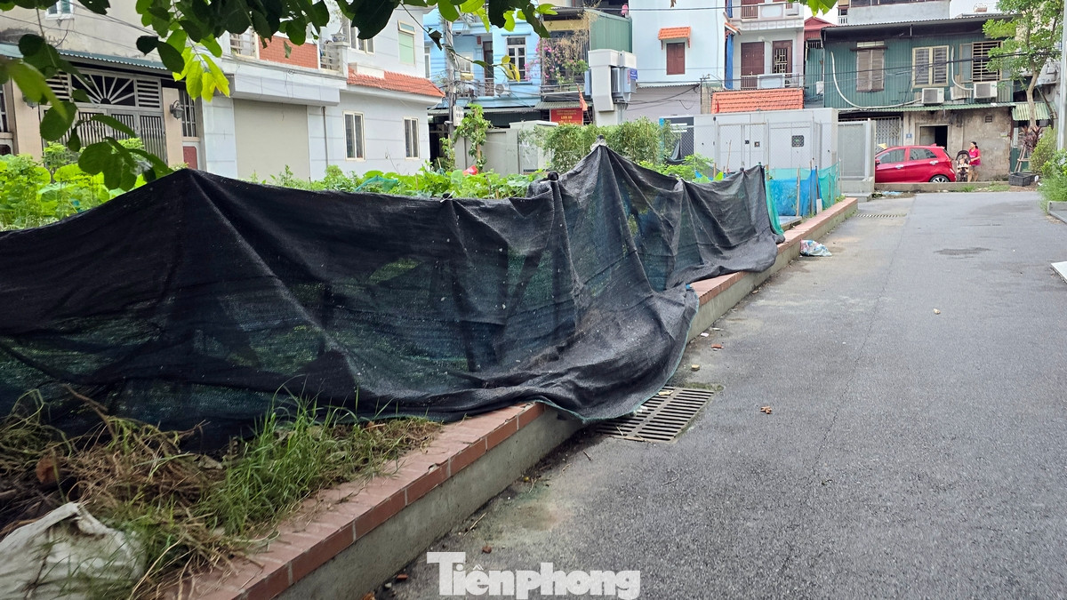 Một số khoảng đất trống như bồn hoa nay được người dân tận dụng quây lưới trồng rau, thả gà...