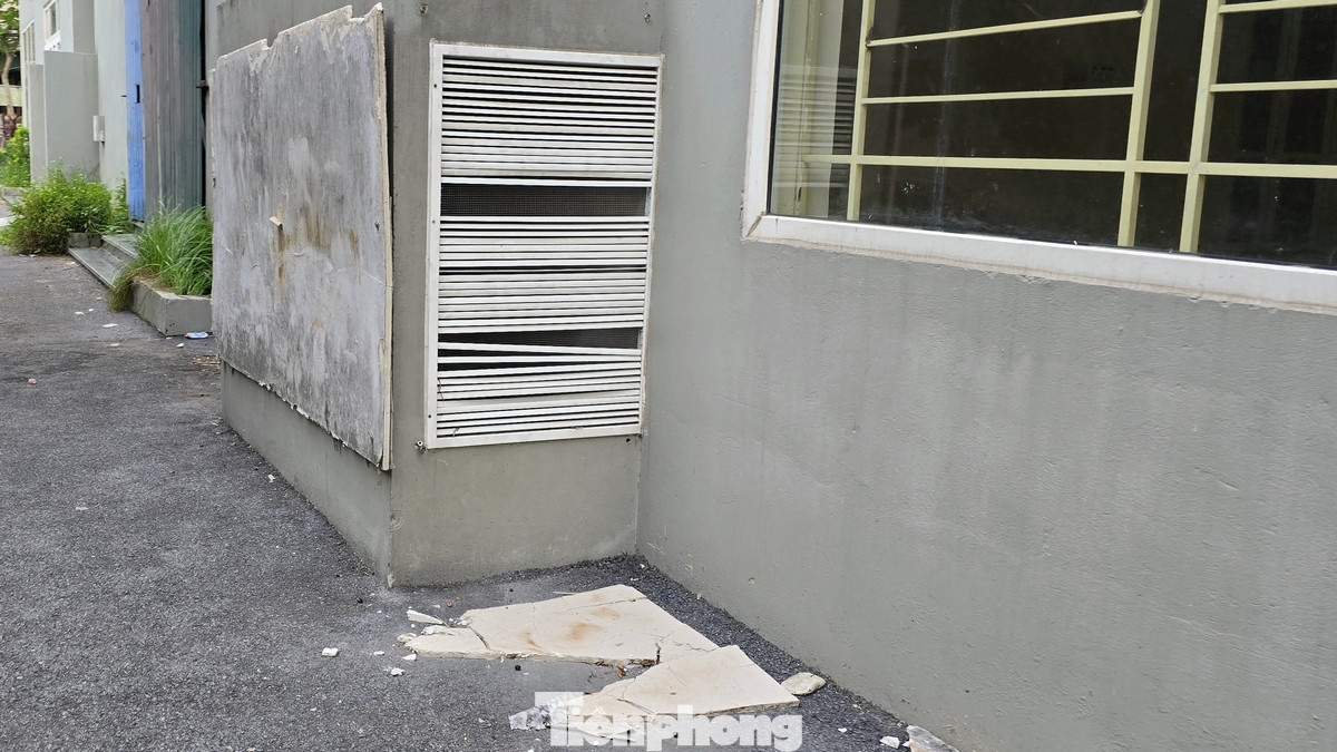 Sảnh tòa nhà cũng như một số hạng mục kỹ thuật phụ trợ sau nhiều năm bắt đầu có hiện tượng hoang hóa.