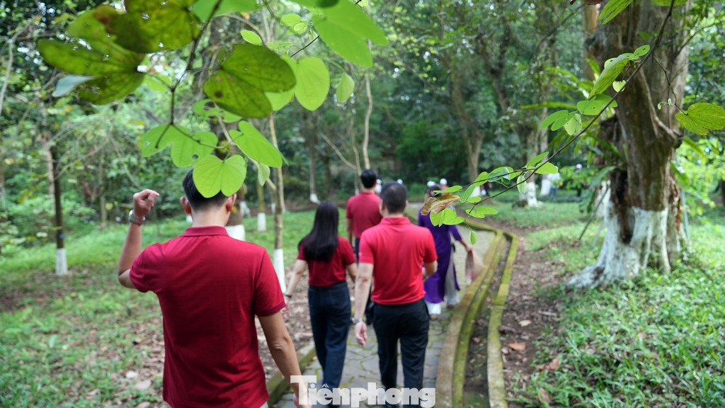 Không gian và cảnh quan xanh mướt của cây rừng ở khu di tích khiến mọi người như được trở về với thiên nhiên của cỏ cây hoa lá.