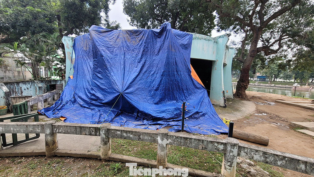 Tại khu nuôi giữ 2 cá thể voi, ông Nguyễn Danh Cường cho biết, khi nhiệt độ xuống thấp, ngoài hệ thống sưởi điện sẽ được tăng cường thêm đốt sưởi bằng củi 24/24 giờ. Ngoài ra, khu vực này cũng đã được che chắn kỹ bằng hệ thống bạt phủ tấm lớn.