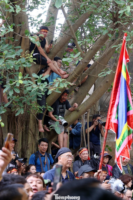 Nhiều nhiếp ảnh gia đã phải leo lên cả cây đa của đền để có được những góc máy tốt và tránh những trận "mưa bùn" bắn vào máy ảnh.