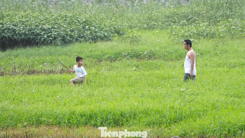 Dưới lòng hồ, trẻ em chạy nhảy bắt châu chấu mà không lo... đuối nước.