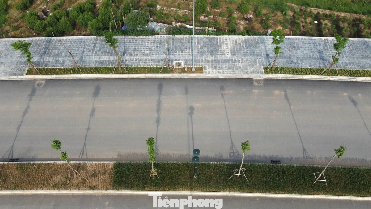 Theo thiết kế, tuyến đường sẽ có tiêu chuẩn đường liên khu vực, với vận tốc thiết kế 60km/h. Quy mô mặt cắt ngang đường điển hình 40m, đoạn khớp nối với Đại lộ Thăng Long (dài khoảng 110m) có bề rộng mặt cắt ngang 100m.