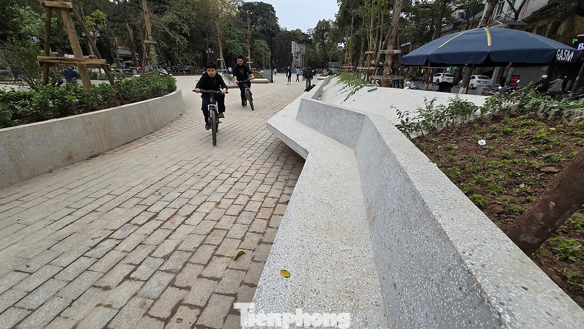 Cây trồng mới trong những khối bê tông kia là cây bàng Đài Loan, đây là giống cây đô thị phát triển nhanh ra tán rộng đảm bảo khu vực vườn hoa sẽ xanh đẹp trong thời gian tới. Cây trồng mới trong những khối bê tông kia là cây bàng Đài Loan, đây là giống cây đô thị phát triển nhanh ra tán rộng đảm bảo khu vực vườn hoa sẽ xanh đẹp trong thời gian tới.