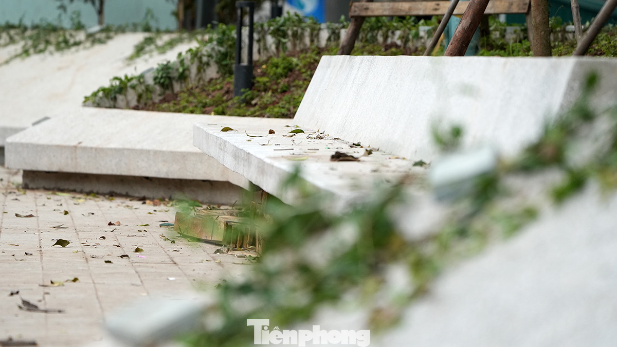 Cây xanh leo sẽ được trồng trong những ụ bê tông để khi cây phát triển sẽ phủ kín tạo cảm giác xanh tươi và hạn chế phần nào diện tích bê tông hóa của vườn hoa Vạn Xuân (Hàng Đậu). Cây xanh leo sẽ được trồng trong những ụ bê tông để khi cây phát triển sẽ phủ kín tạo cảm giác xanh tươi và hạn chế phần nào diện tích bê tông hóa của vườn hoa Vạn Xuân (Hàng Đậu).