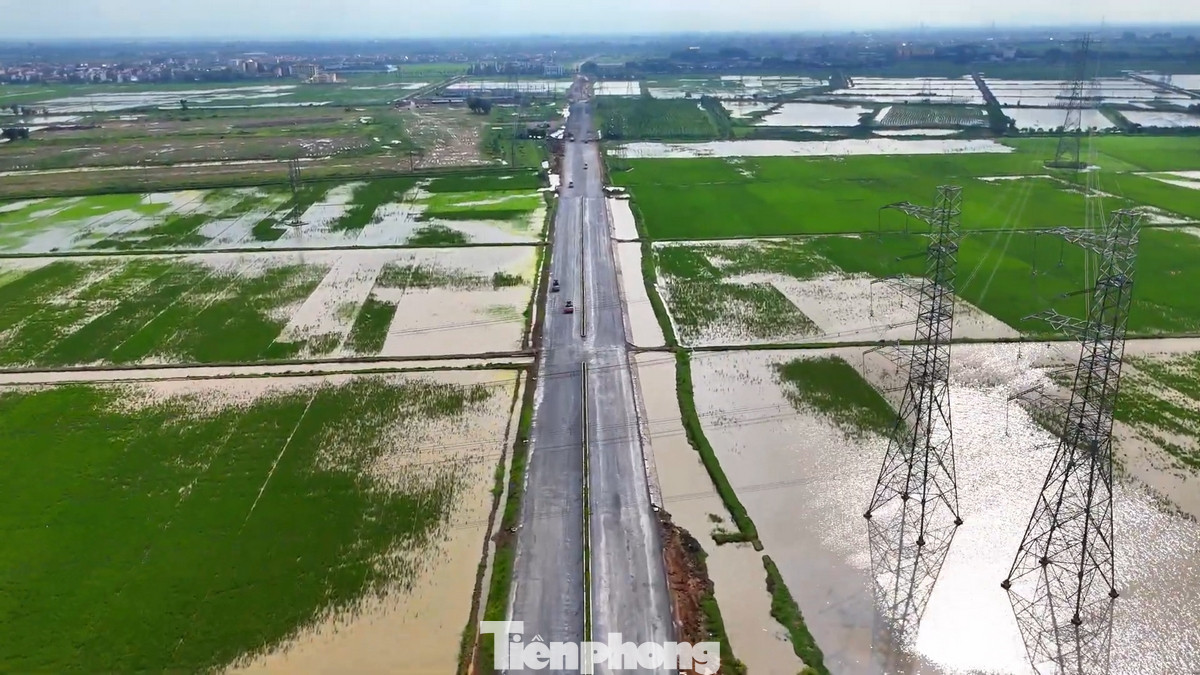 Phần lớn dự án chạy trên những cánh đồng lúa xanh ngát.