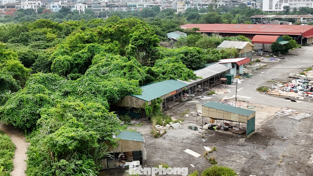 Trong khu vực nghiên cứu có Khu di tích Quốc gia Nhà thờ Hoàng Trình Thanh và Từ chỉ họ Hoàng đã được Bộ Văn hóa - Thể thao và Du lịch xếp hạng di tích lịch sử quốc gia; khu Nhà Quàn, đền thờ Thần Nông của làng Đa Sỹ - công trình phục vụ nhu cầu tâm linh, văn hóa lâu đời của người dân làng Đa Sỹ.