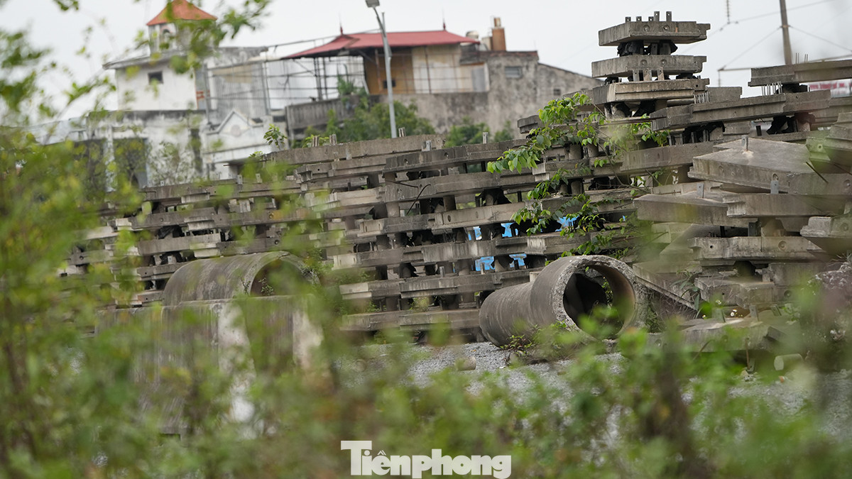 Cỏ dại mọc um tùm bao phủ dự án.