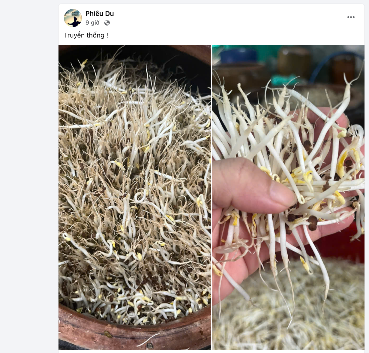 Các bài đăng trên mạng chia sẻ cách làm giá đỗ. Ảnh: FB