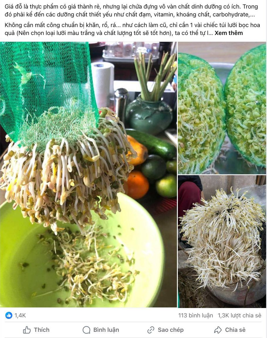 Các bài đăng trên mạng chia sẻ cách làm giá đỗ. Ảnh: FB