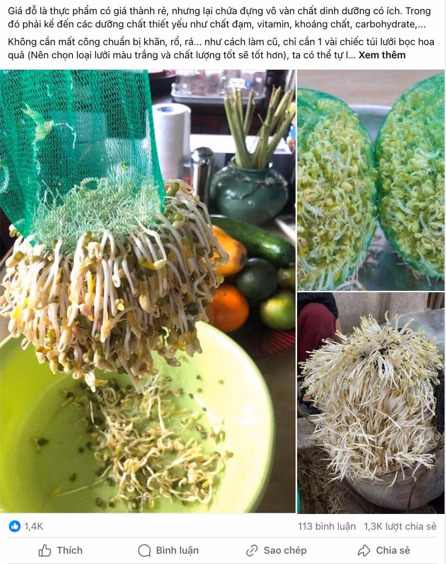 Các bài đăng trên mạng chia sẻ cách làm giá đỗ. Ảnh: FB