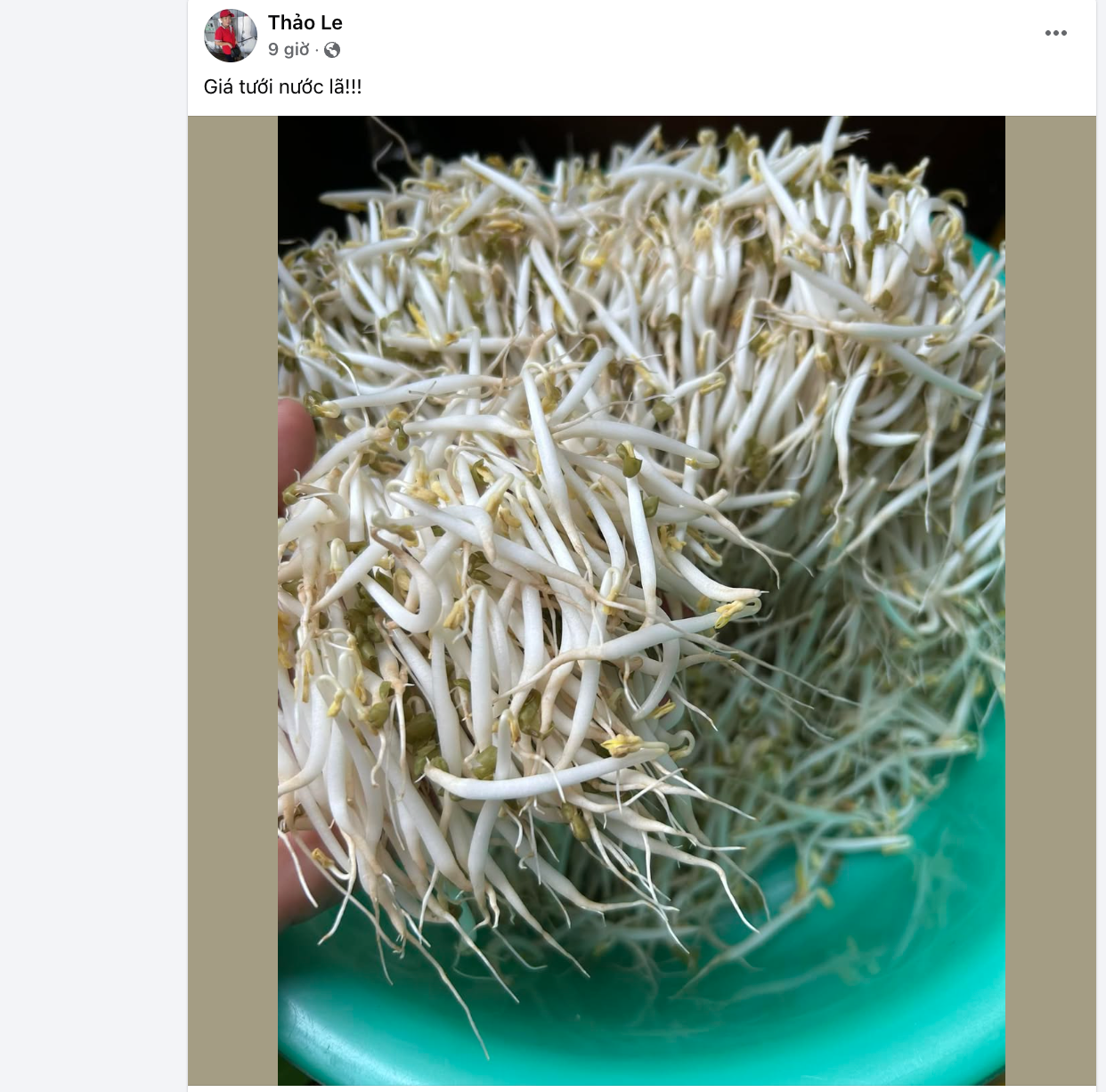 Các bài đăng trên mạng chia sẻ cách làm giá đỗ. Ảnh: FB