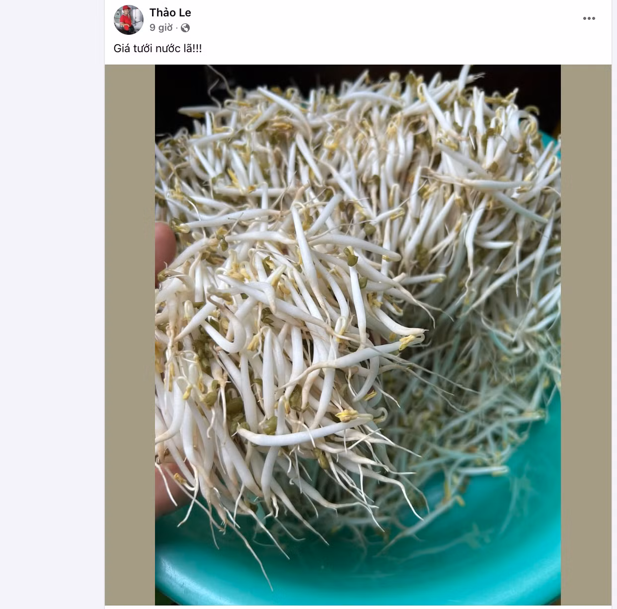 Các bài đăng trên mạng chia sẻ cách làm giá đỗ. Ảnh: FB