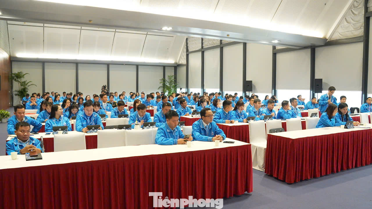 Toàn cảnh tổ thảo luận số 5. Toàn cảnh tổ thảo luận số 5.