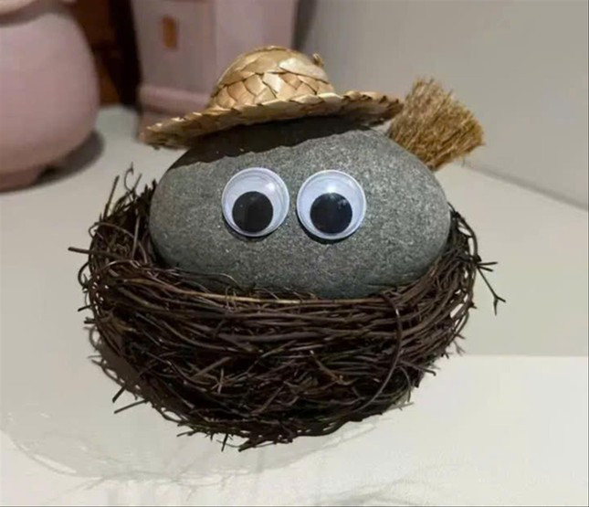 Gen Z còn mê mẩn đá thú cưng. Gen Z còn mê mẩn đá thú cưng.