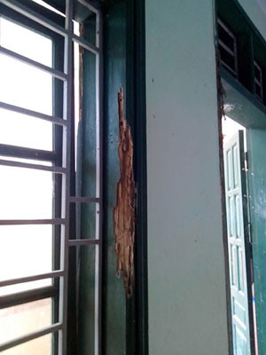Tại các phòng học mới được đầu tư xây dựng, hầu hết các khung cửa bị mối xông; nền của các phòng và hành lang bị nổ, bong tróc gạch nát; kính các cửa sổ bị vỡ