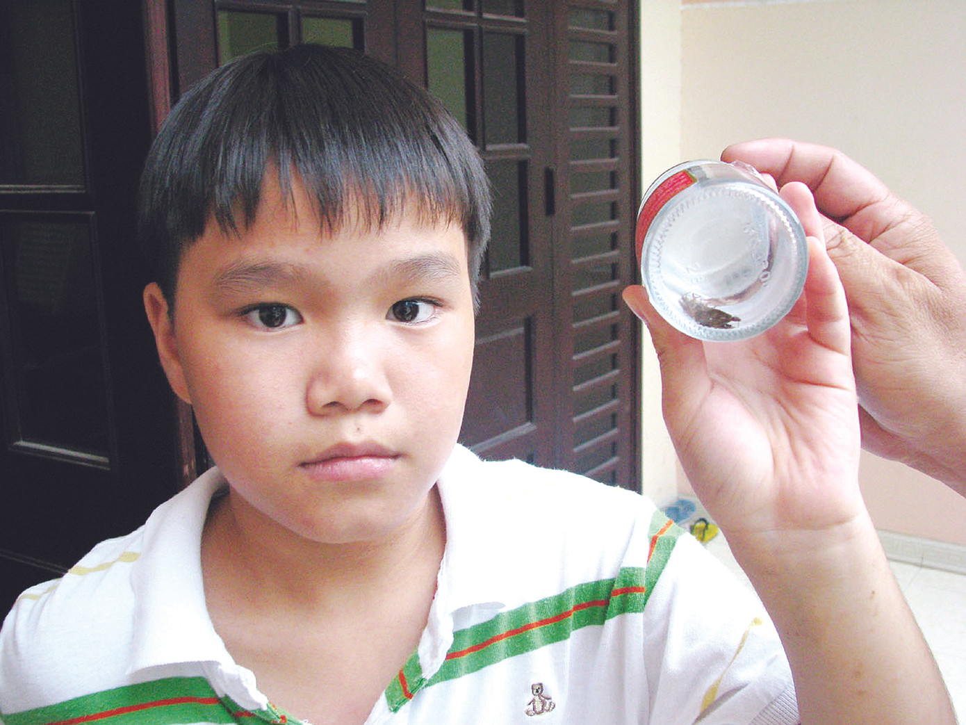 Cháu Nam Khánh, con trai chị Cẩm Thanh với lọ đựng những con bọ xít cắn người. Ảnh: Tr.Q