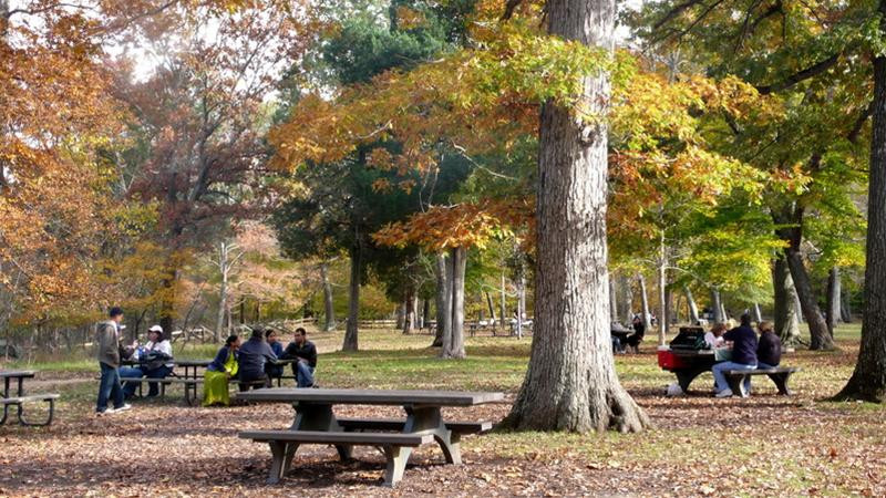 Sắc thu vàng Virginia ảnh 7