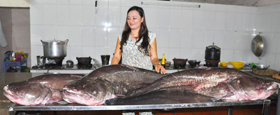 Chị Phượng với 3 con cá Leo khổng lồ. Ảnh: Hoàng Thiên Nga Chị Phượng với 3 con cá Leo khổng lồ