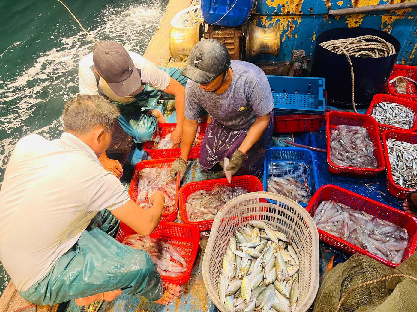 Thành quả sau 1 đêm của ngư dân. Thành quả sau 1 đêm của ngư dân.