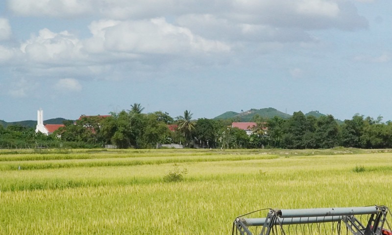 Xã Phù Hoá, nơi ghi nhận bệnh nhân đầu tiên tử vong do sốt xuất huyết trong năm 2024.