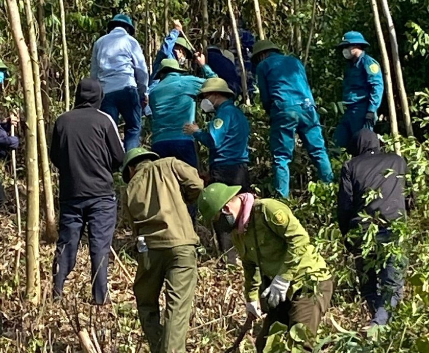 Chính quyền đã huy động gần 500 người tham gia dập lửa. Chính quyền đã huy động gần 500 người tham gia dập lửa.