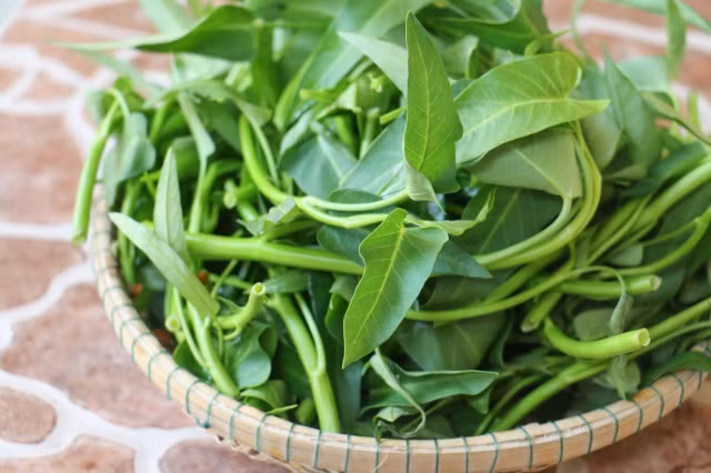 Thực phẩm giải nhiệt ngày hè nắng nóng ảnh 2